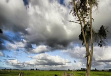 OD体育网址:美記報道太陽與火箭近期未曾與開拓者就羅威交易進行磋商.