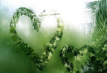 [NBA]塔图姆空砍27分 凯尔特人不敌活塞.